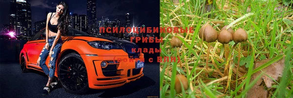 Альфа ПВП Алексеевка
