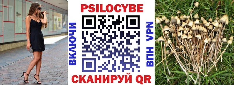 Галлюциногенные грибы мухоморы  kraken ССЫЛКА  Арск 